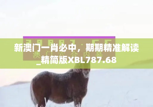 新澳门一肖必中,期期精准解读_精简版XBL787.68