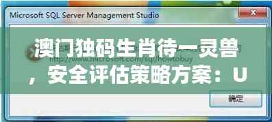 澳门独码生肖待一灵兽，安全评估策略方案：UMK349.07预测版