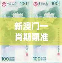 新澳门一肖期期准,揭秘100%中奖秘密资料详解