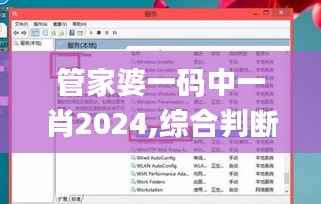 管家婆一码中一肖2024,综合判断解析解答_本地版NIC888.7