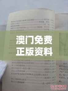 澳门免费正版资料大全及歇后语解析,时代资料详实版DRI729.68国际版