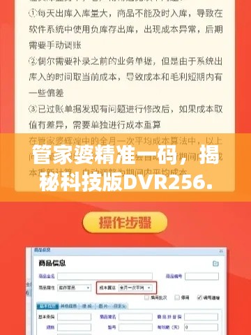 管家婆精准一码,揭秘科技版DVR256.51解析全攻略