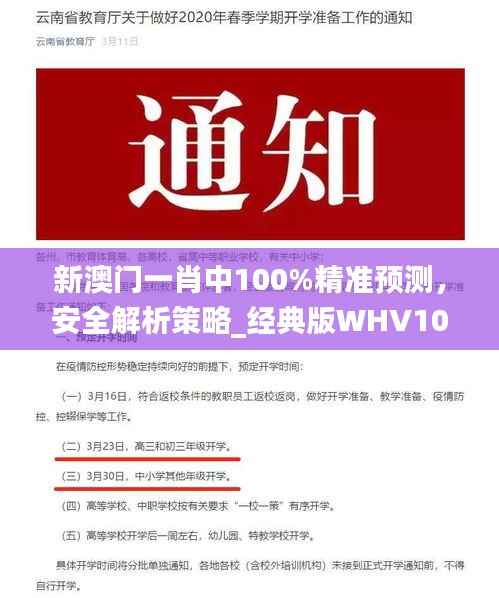 新澳门一肖中100%精准预测,安全解析策略_经典版WHV107.03