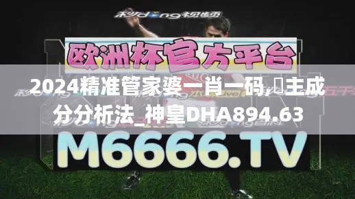 2024精准管家婆一肖一码,主成分分析法_神皇DHA894.63