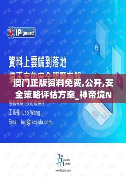 澳门正版资料免费,公开,安全策略评估方案_神帝境NYR977.15