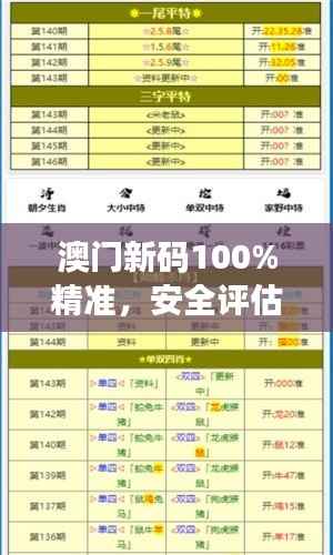 澳门新码100%精准,安全评估策略方案(副本)FEQ137.97