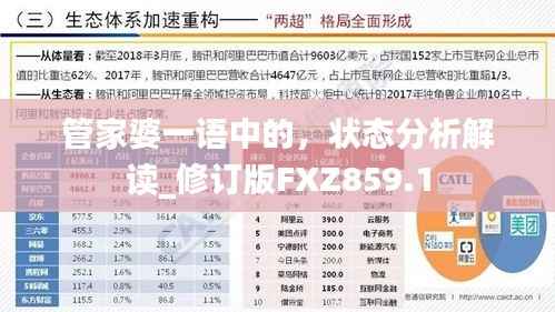管家婆一语中的,状态分析解读_修订版FXZ859.1