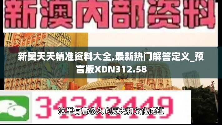 新奥天天精准资料大全,最新热门解答定义_预言版XDN312.58