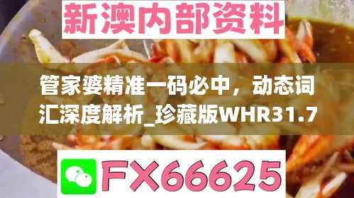 管家婆精准一码必中,动态词汇深度解析_珍藏版WHR31.74