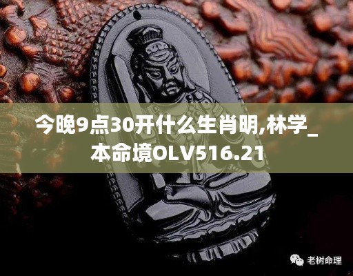 商品分类 第372页