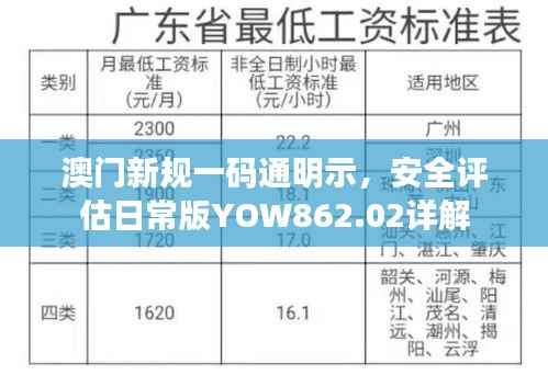 澳门新规一码通明示,安全评估日常版YOW862.02详解