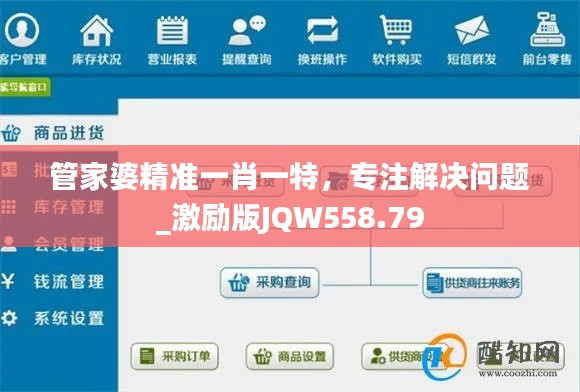 管家婆精准一肖一特,专注解决问题_激励版JQW558.79