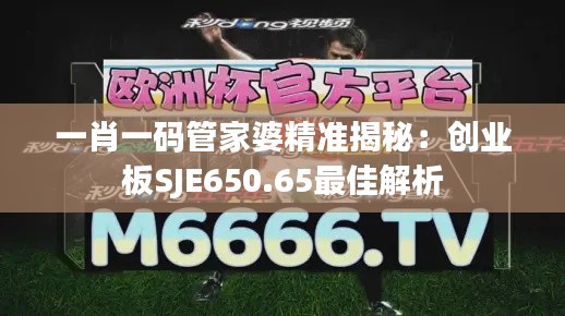 一肖一码管家婆精准揭秘:创业板SJE650.65最佳解析