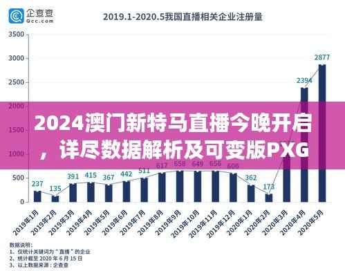 2024澳门新特马直播今晚开启，详尽数据解析及可变版PXG456.81揭晓