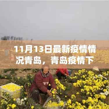 青岛疫情下的自然探索之旅,寻找内心的宁静与微笑的力量(最新疫情情况报道)