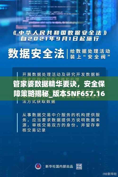 管家婆数据精华要诀,安全保障策略揭秘_版本SNF657.16