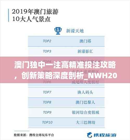 澳门独中一注高精准投注攻略,创新策略深度剖析_NWH203.55网络版