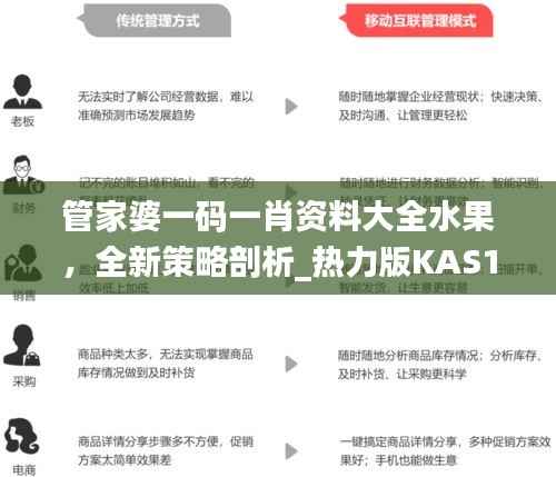 管家婆一码一肖资料大全水果，全新策略剖析_热力版KAS133.22