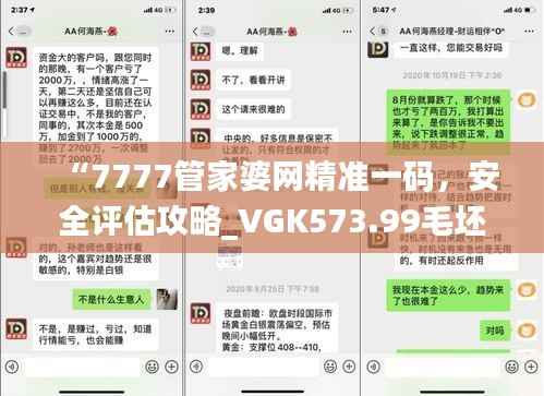 “7777管家婆网精准一码,安全评估攻略_VGK573.99毛坯版”