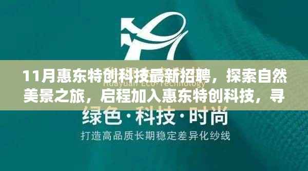 惠东特创科技招聘启事,探索自然美景之旅,寻找内心的宁静与平和之旅