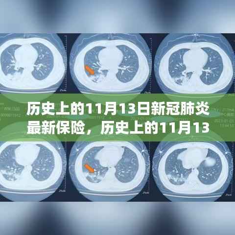历史上的11月13日,探寻新冠肺炎与最新保险的交汇点时刻