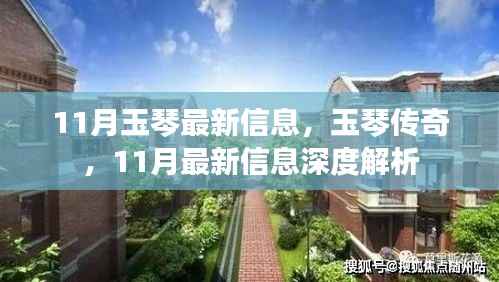 11月玉琴传奇深度解析,最新信息一网打尽