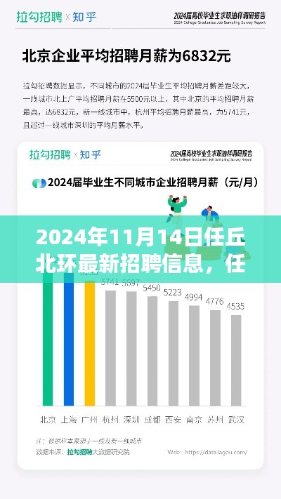 任丘北环最新招聘信息深度评测,特性、体验、竞品对比与用户分析(2024年)