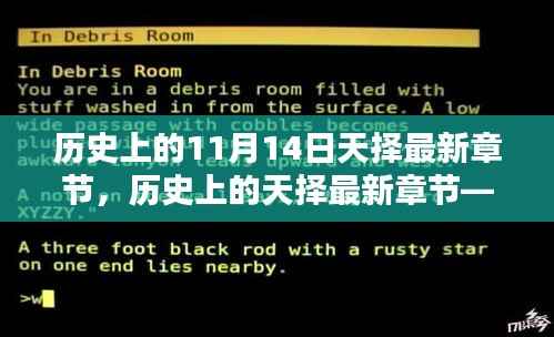 揭秘十一月十四日历史上的神秘面纱,天择最新章节揭晓