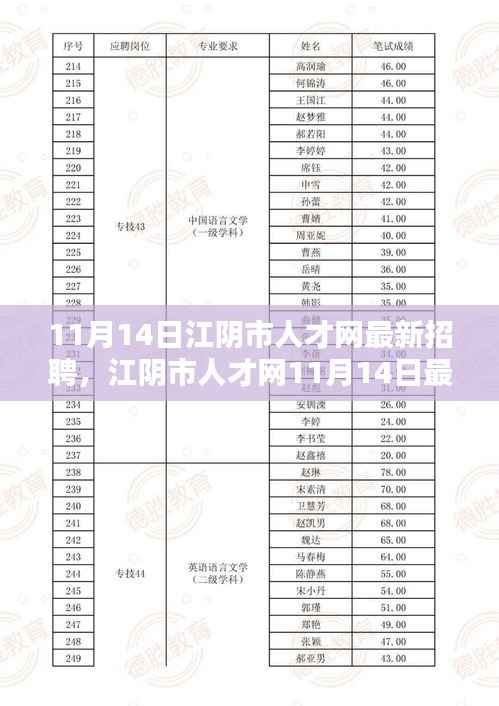江阴市人才网11月14日招聘盛况揭秘,人才汇聚的力量与影响