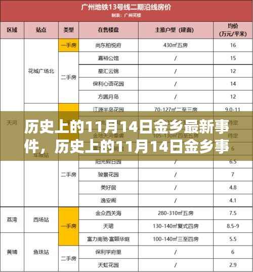 历史上的11月14日金乡事件深度解析，一种独特视角