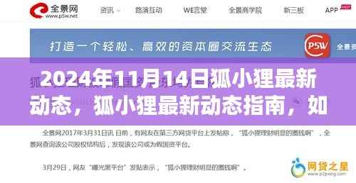 狐小狸最新动态指南,迈向进阶之路(附详细解读与行动指南)