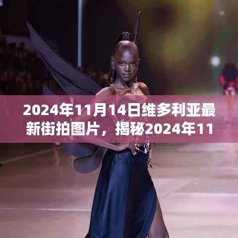 揭秘维多利亚最新街拍潮流风尚,时尚潮流终极呈现(2024年11月14日)