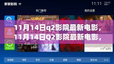 11月14日Q2影院最新电影,深度探讨与观众观点