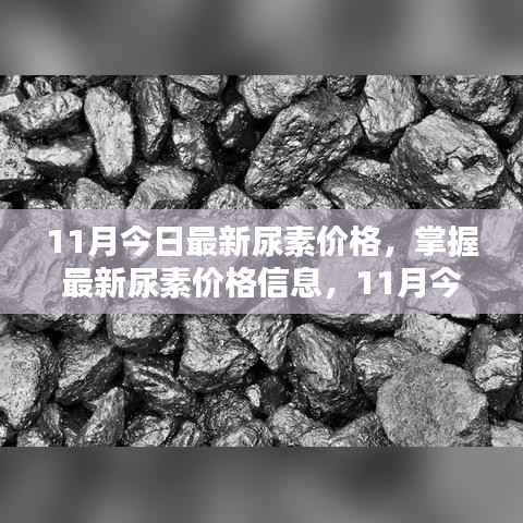 11月最新尿素价格全攻略，从初学者到进阶用户，掌握尿素价格查询全信息