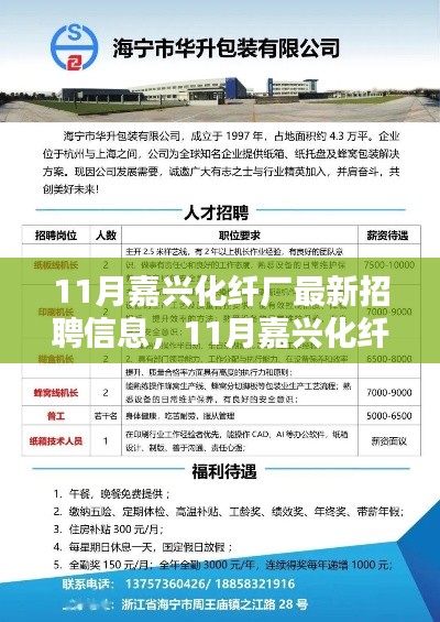 11月嘉兴化纤厂最新招聘信息汇总,一站式了解所有职位