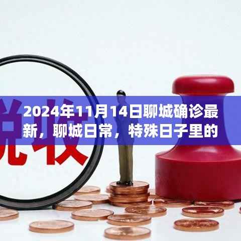 聊城特殊日子温情确诊之旅,最新进展与日常观察(2024年11月14日)