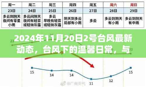 台风下的温馨日常与风中奇遇记——2号台风最新动态报道