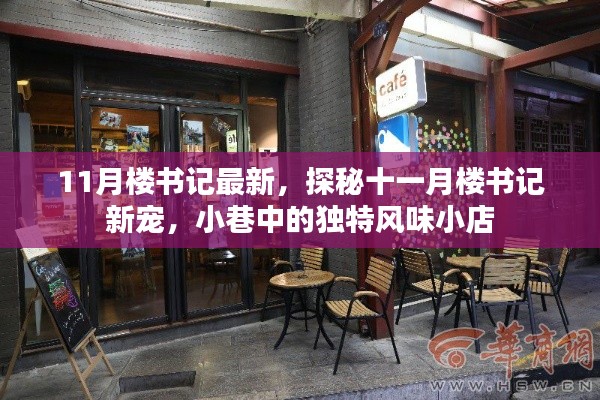 探秘十一月楼书记新宠,小巷独特风味小店揭秘