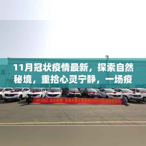 疫情后的心灵治愈之旅,探索自然秘境,寻找宁静与新生