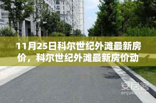 科尔世纪外滩最新房价动态深度解析与探讨,11月房价数据一览