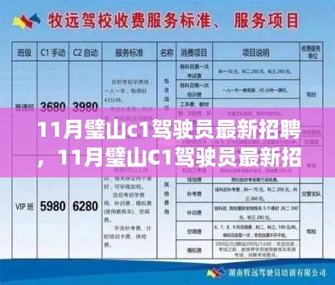 最新璧山C1驾驶员招聘全面评测与介绍