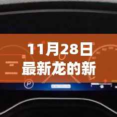 揭秘,最新关于龙的新闻事件报道(11月28日更新)