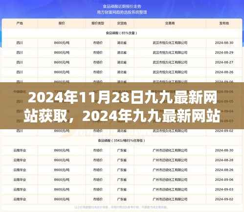 揭秘2024年九九最新网站价值,深度解读其获取方式与价值所在