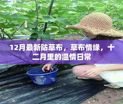 十二月最新防草布,温情日常的草布情缘