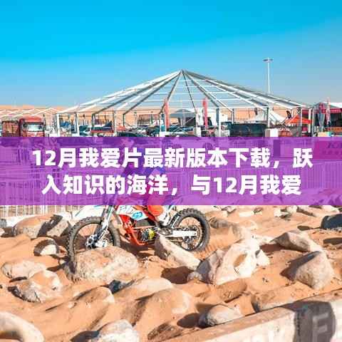 跃入知识海洋，与最新12月我爱片版本共舞，自信与成就感的召唤