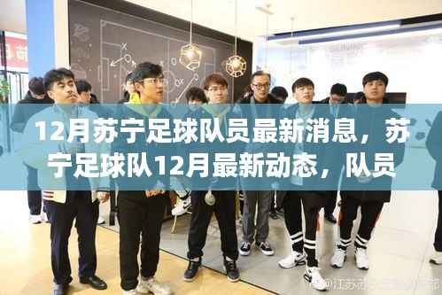 苏宁足球队12月最新动态,备战、转会与训练进展揭秘