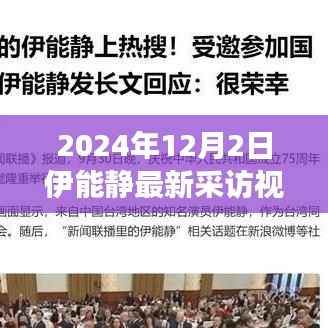伊能静最新采访视频,深度探讨艺术与生活,展现独特人生感悟(独家报道,2024年12月)