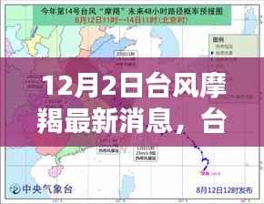 台风摩羯来袭,最新消息、影响及各方观点解析
