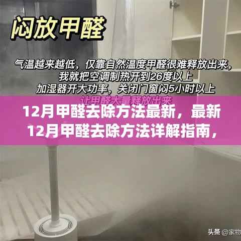 最新12月甲醛去除方法详解,高效除醛技能指南