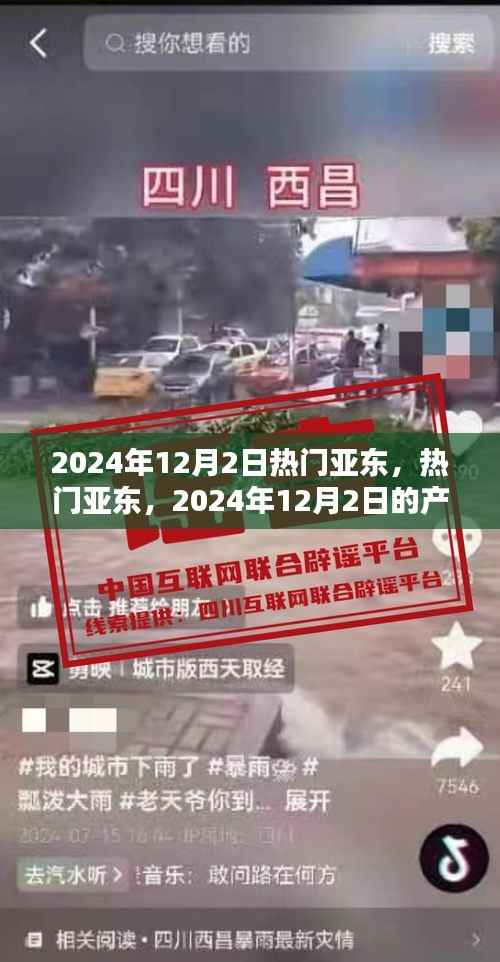 深度解析，亚东产品特性与用户体验——2024年12月2日热门亚东一览